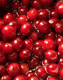 SuperFood: Cranberries 